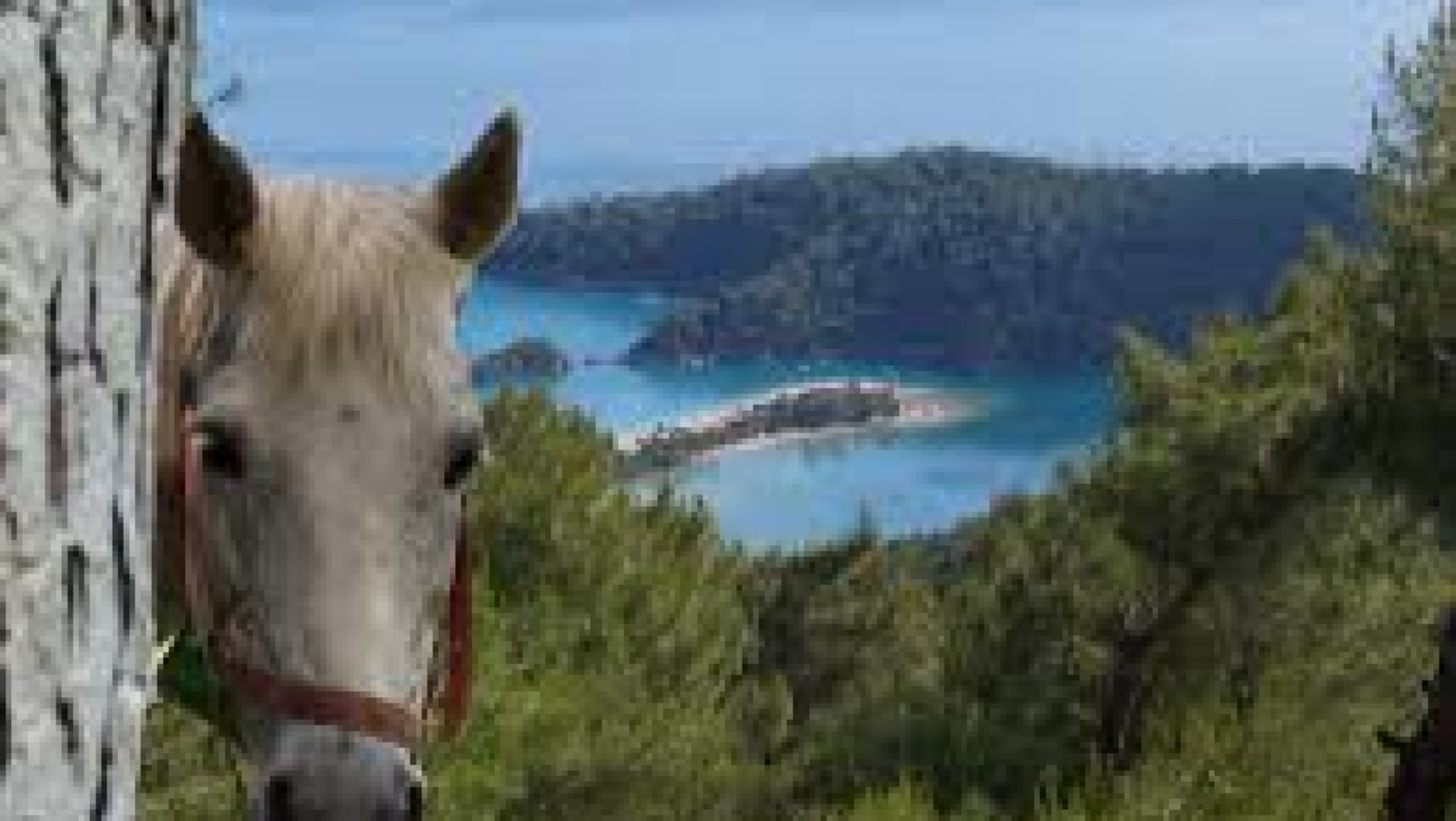 Fethiye At Turu